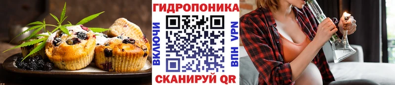 Canna-Cookies конопля  Купить закладки  Сарапул 