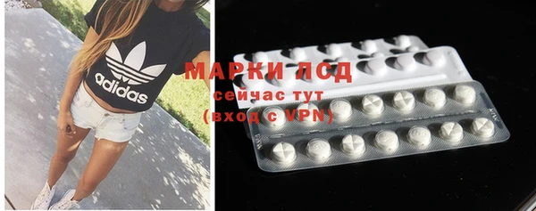 apvp Инсар