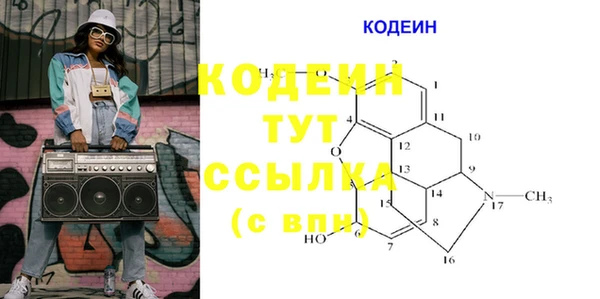 apvp Инсар