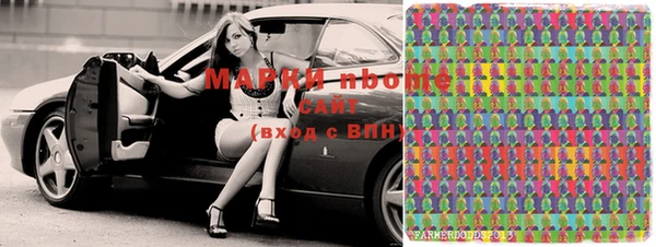 apvp Инсар