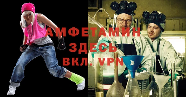 apvp Инсар