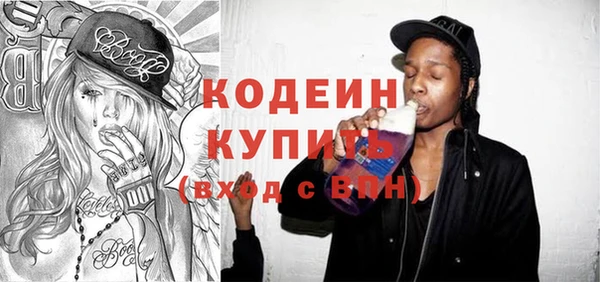 apvp Инсар
