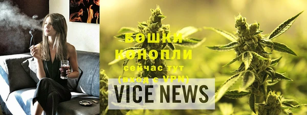 apvp Инсар