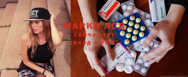 apvp Инсар