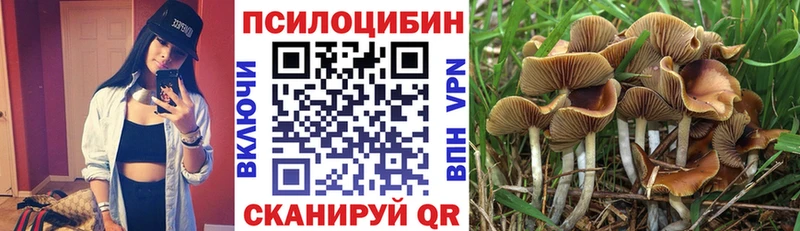 Купить закладки  Сарапул  Псилоцибиновые грибы мухоморы 